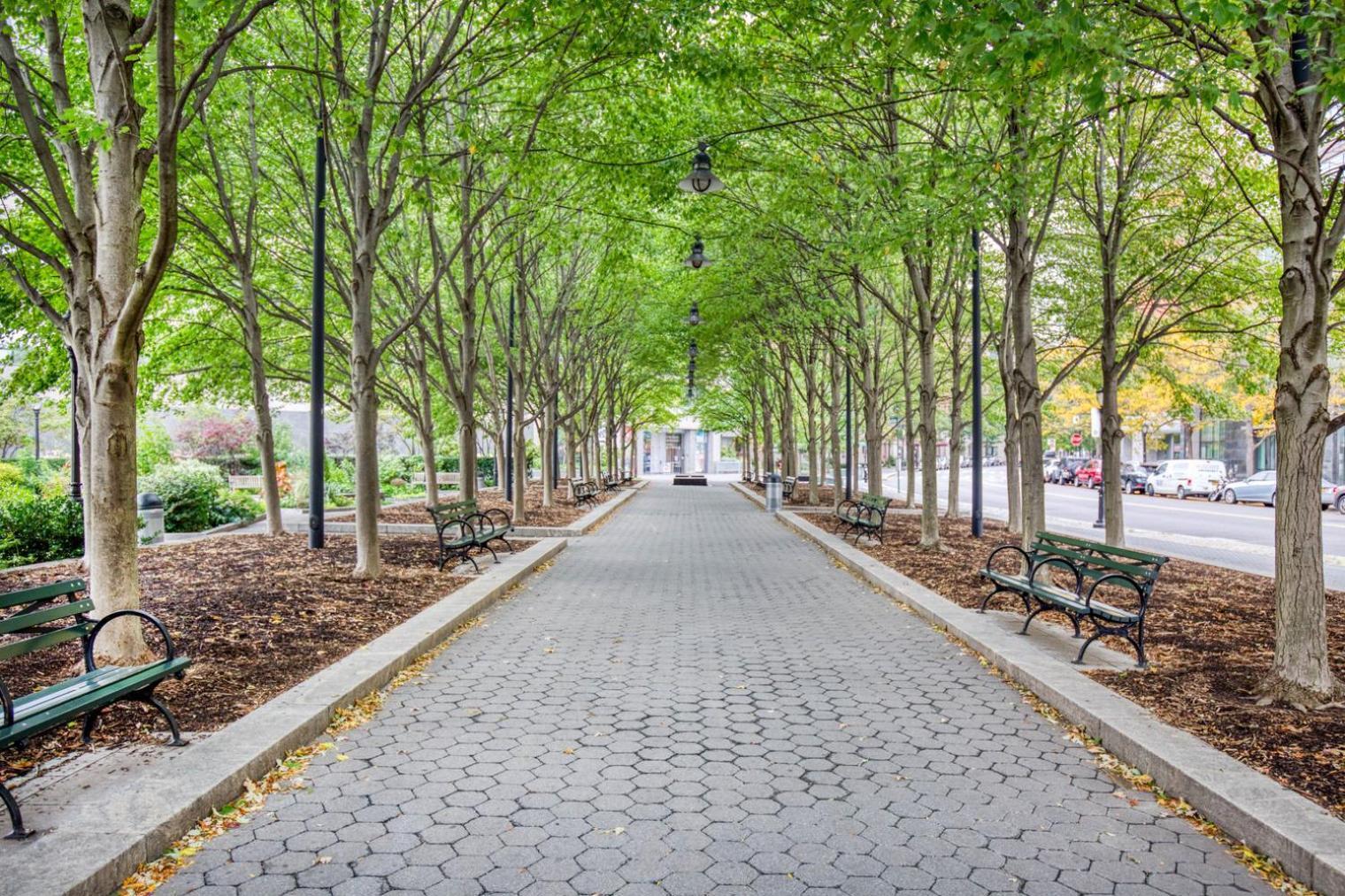 Modern Fidi 1Br W Roofdeck Gym Doorman Nyc-443 Leilighet New York Eksteriør bilde